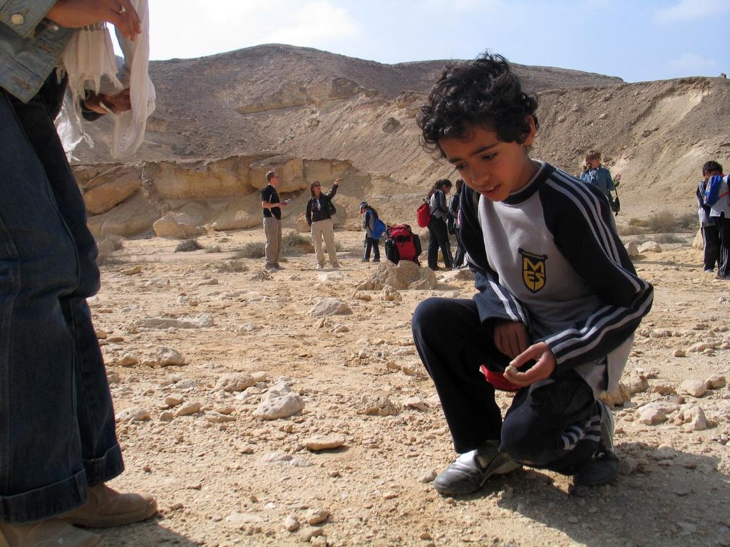 Wadi Degla Rocks, Soil & Fossils