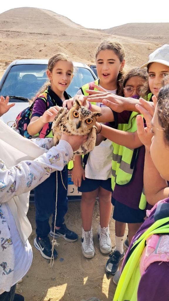 Wadi Degla Adaptation