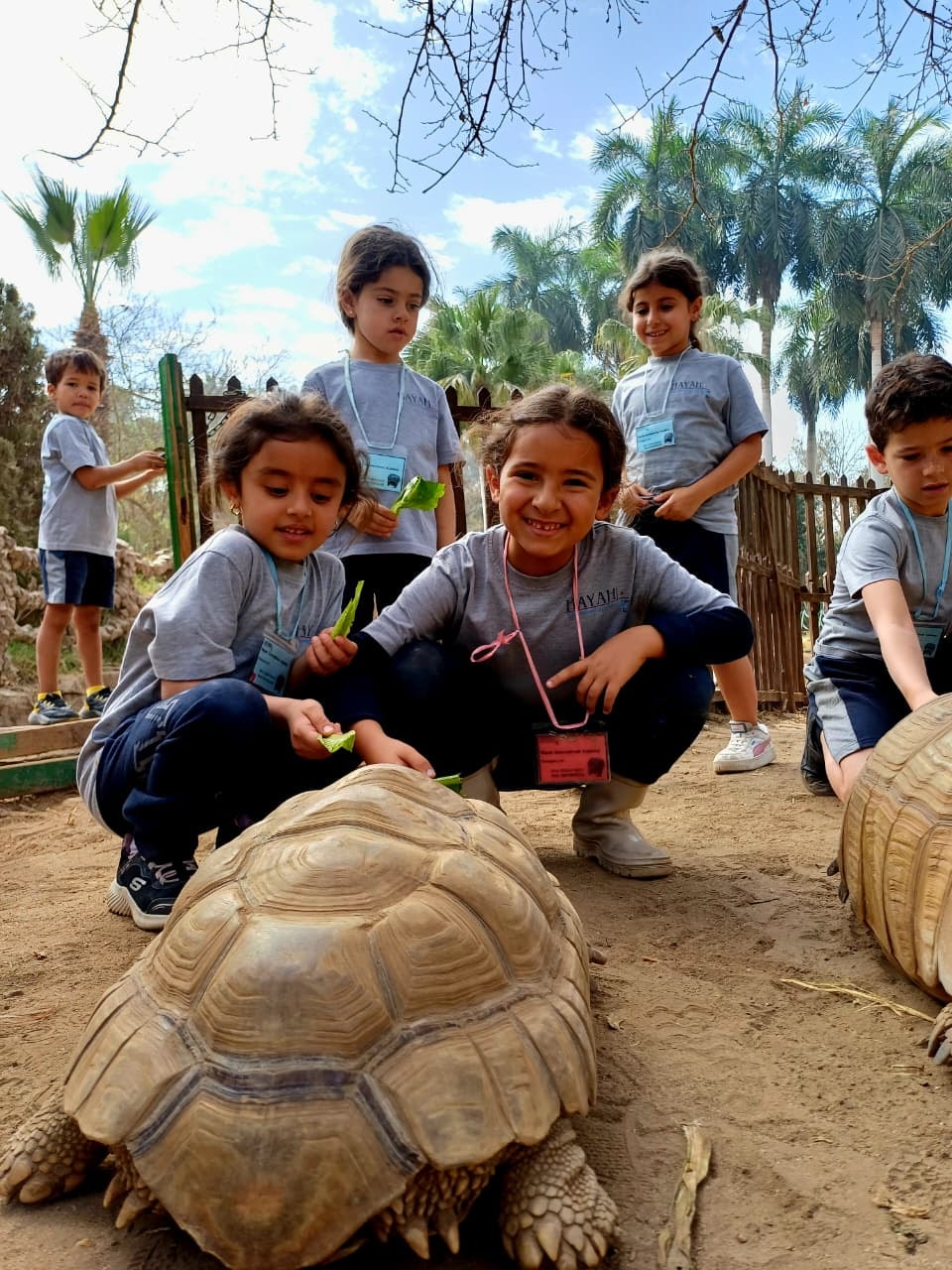 Learning Beyond the Classroom