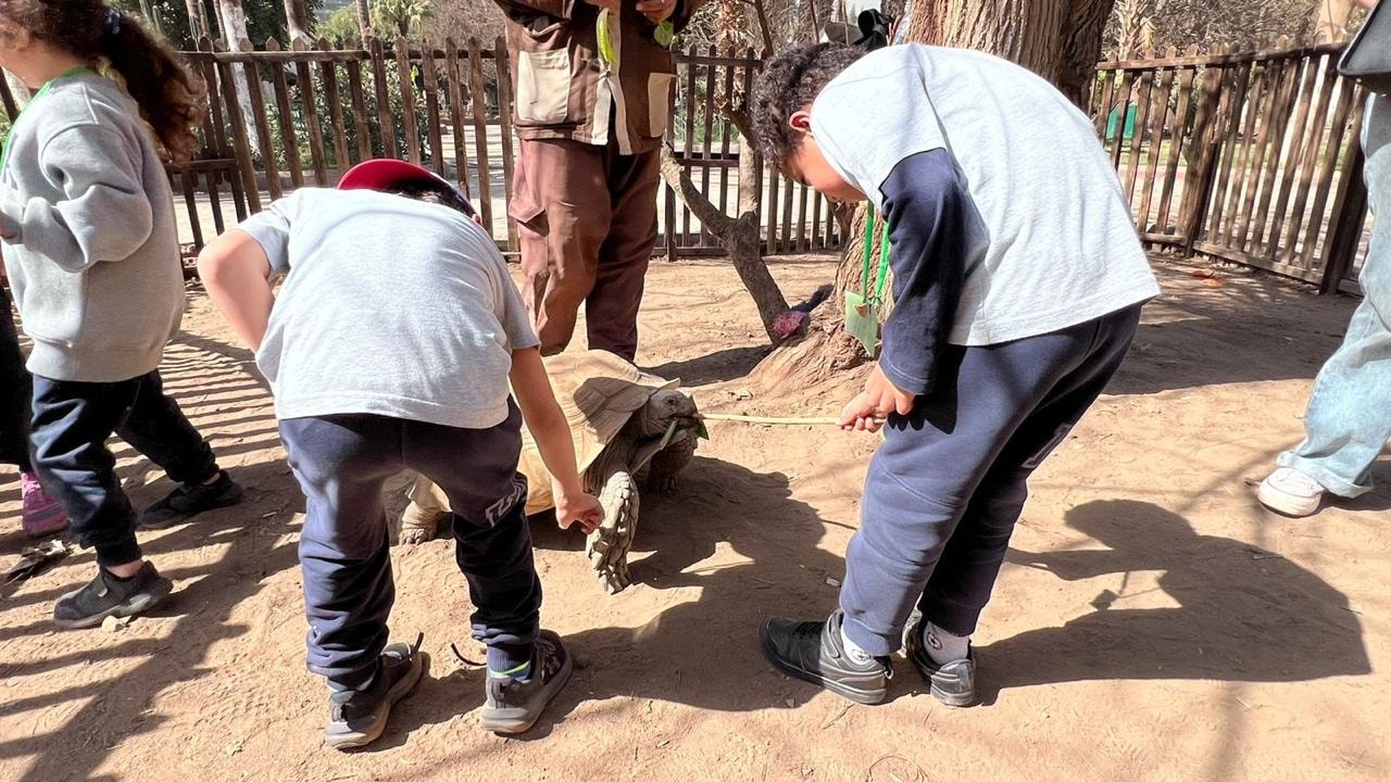 Students learning in the field with Learn x Science