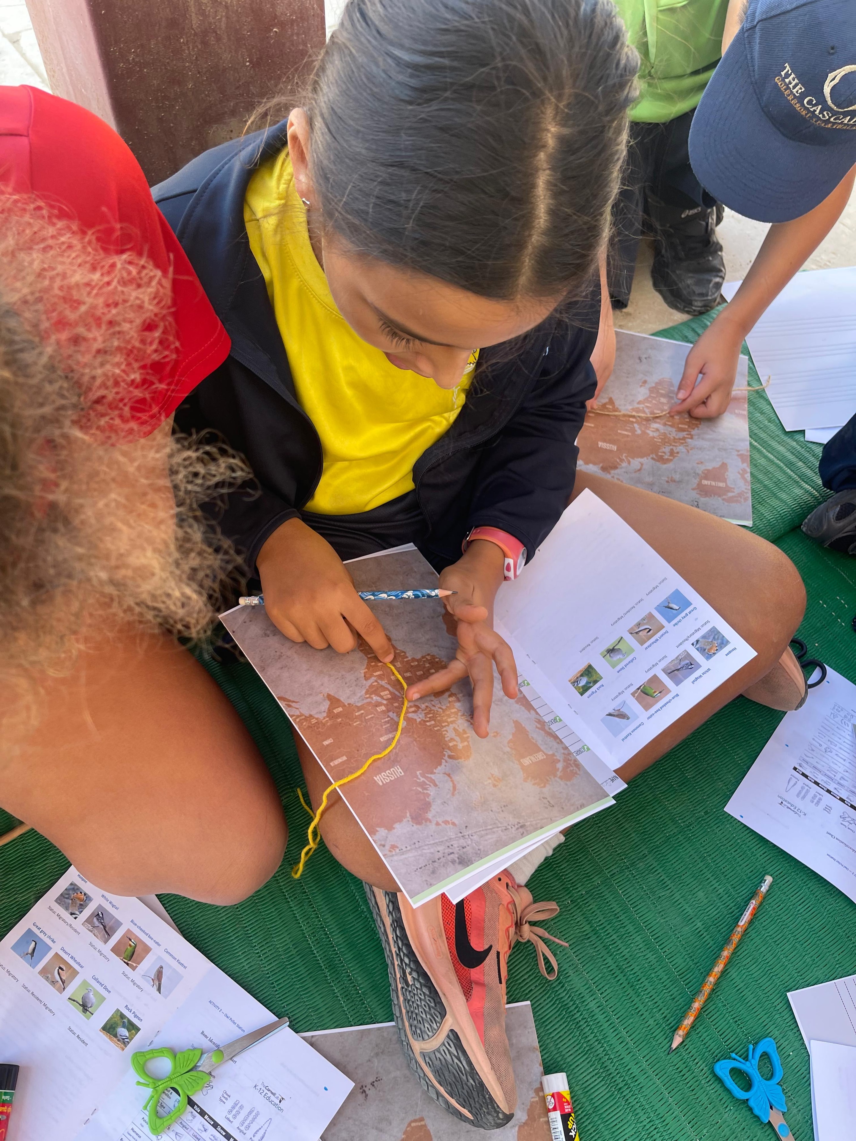 Learn x Science outdoor science session
