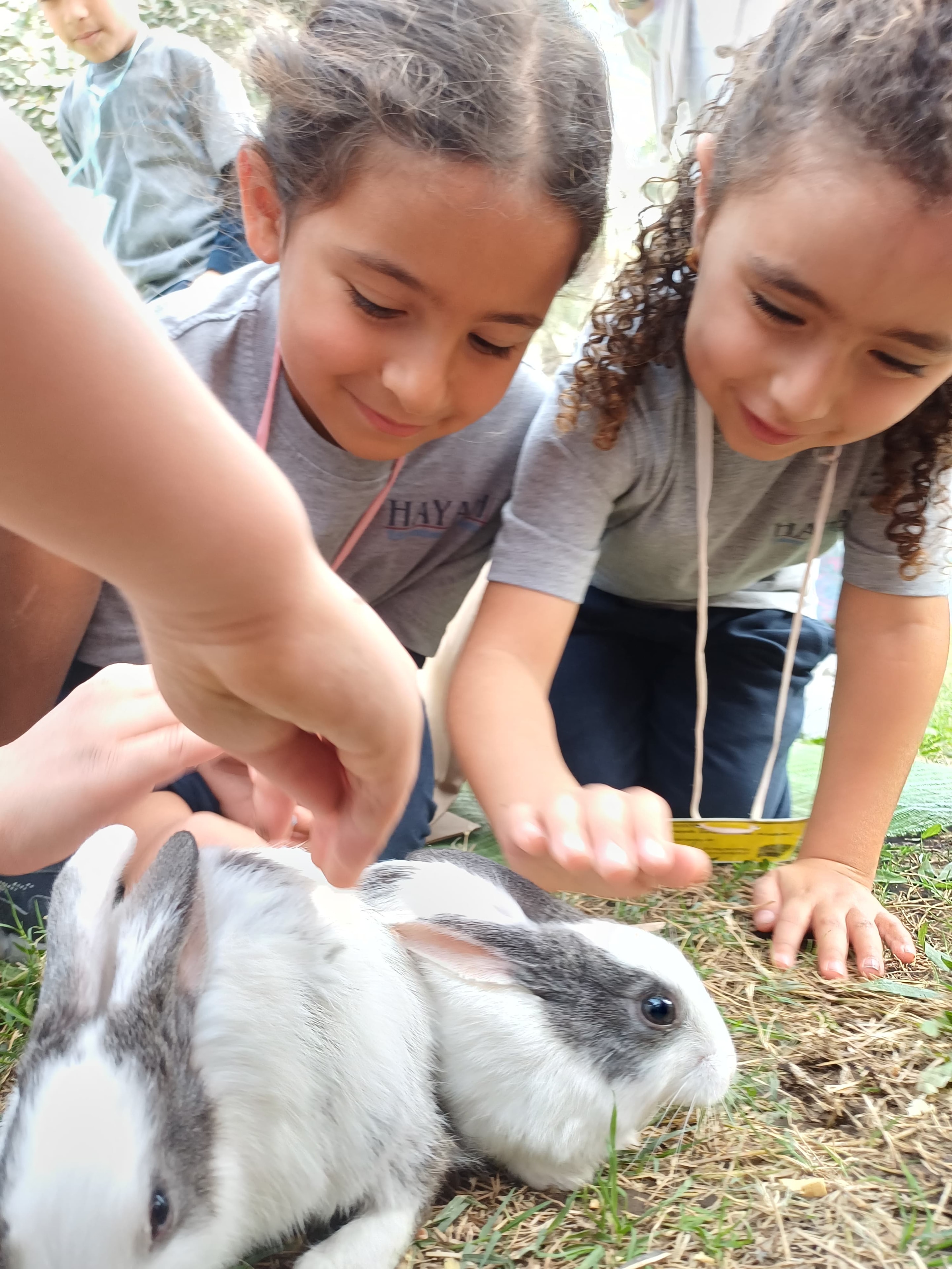 Group field trip activity with Learn x Science